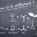 4.How is it different ?：2012年資料